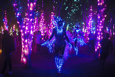 Similar image 22186070