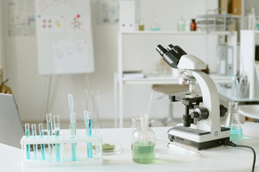 Similar image 22182781