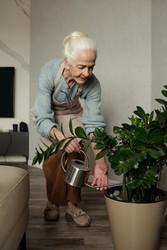 Similar image 22185139