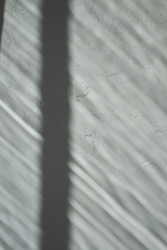 Similar image 22184491