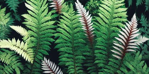 Similar image 22195188