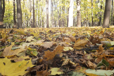 Similar image 22196189