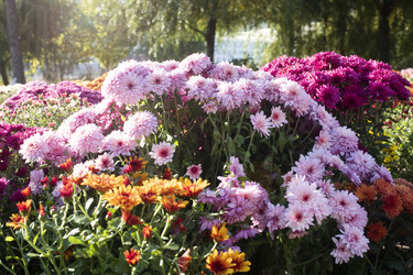 Similar image 22196192