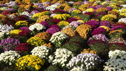 Similar image 22196193