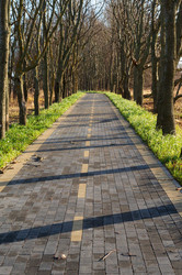 Similar image 22195427