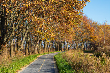 Similar image 22203272