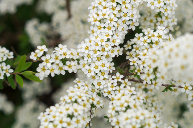 Similar image 22204334