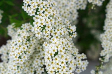 Similar image 22204336