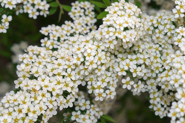 Similar image 22204338