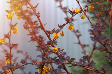 Similar image 22204339