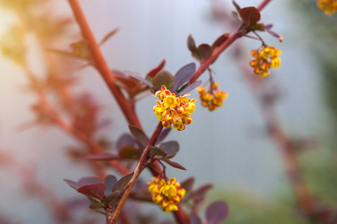 Similar image 22204340