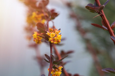 Similar image 22204341