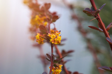 Similar image 22204342