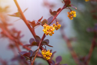 Similar image 22204343