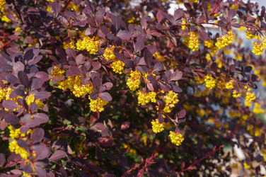 Similar image 22204294