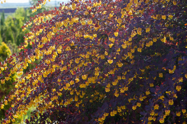 Similar image 22204296