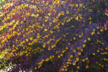 Similar image 22204297