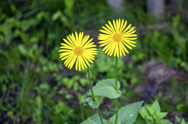 Similar image 22201364