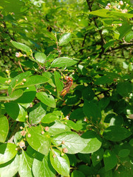 Similar image 22210045