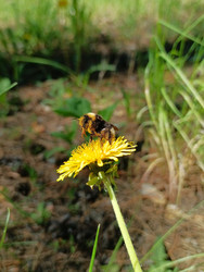 Similar image 22210047