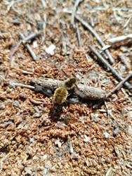 Similar image 22210049