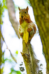 Similar image 22204299