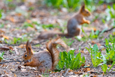 Similar image 22204300