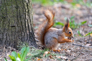 Similar image 22204301