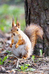 Similar image 22204302