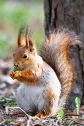 Similar image 22204303