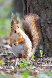 Similar image 22204304