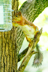 Similar image 22204306