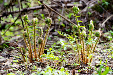 Similar image 22204307