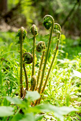 Similar image 22204309