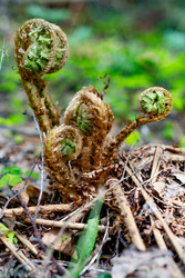 Similar image 22204055