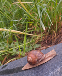 Similar image 22198226