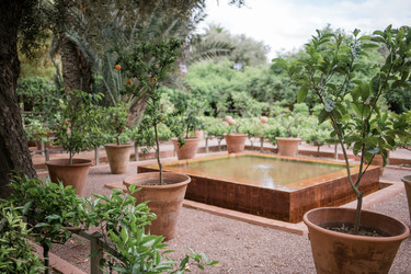 Similar image 22198458