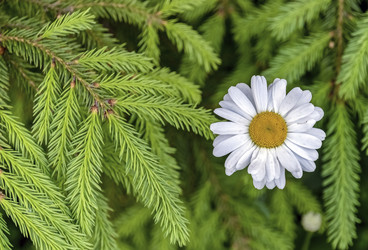 Similar image 22201588