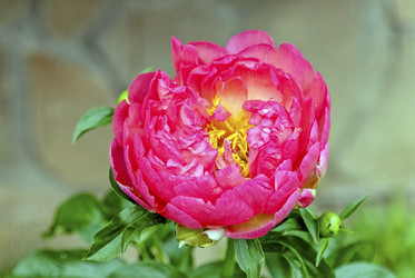 Similar image 22201590