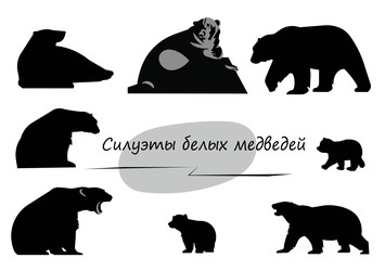 Similar image 22200629