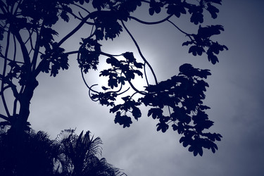 Similar image 22208564