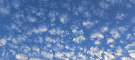 Similar image 22201593