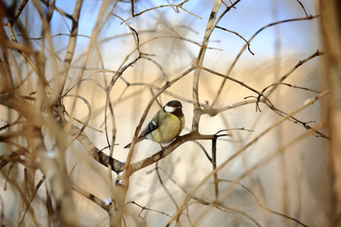 Similar image 22210448