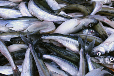 Similar image 22204566