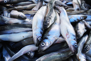 Similar image 22204567