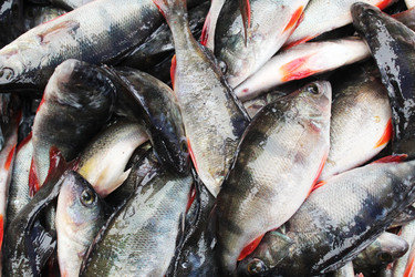 Similar image 22204746