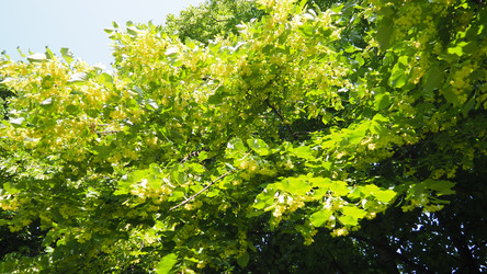 Similar image 22199327