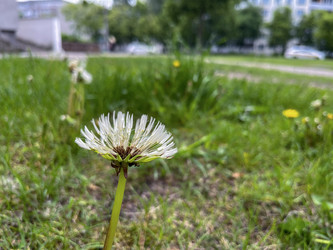 Similar image 22198228