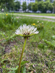 Similar image 22198229