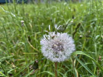 Similar image 22198230